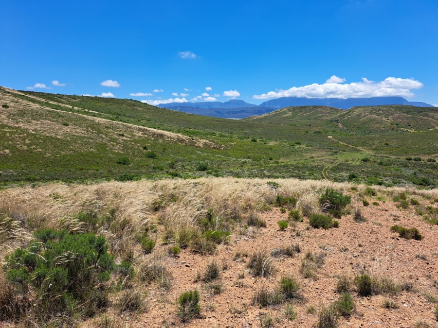 17 Bedroom Property for Sale in Riversdale Rural Western Cape